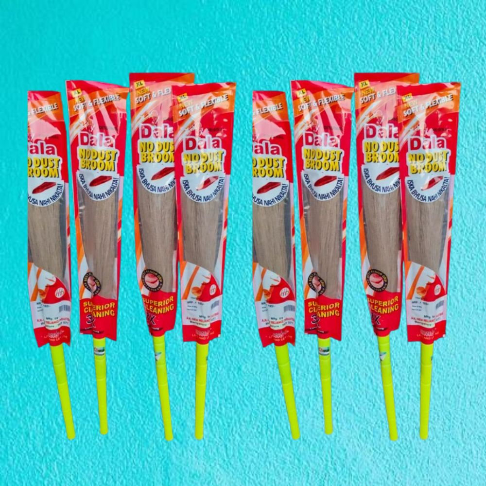 Plastic Broom Dala